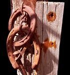 horseshoes-536987__180